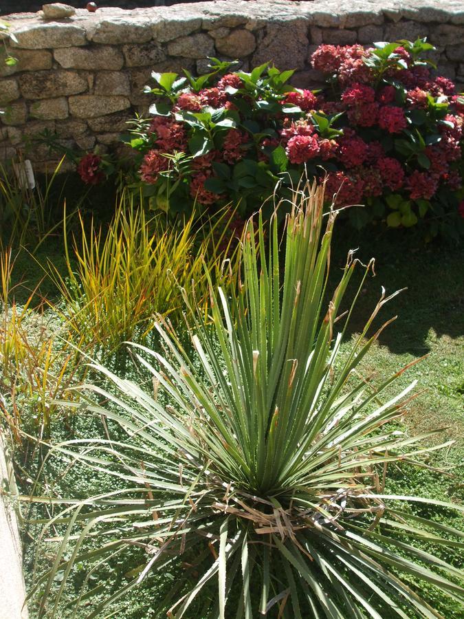 La Sirene Endormie Bed & Breakfast Penmarcʼh Eksteriør bilde